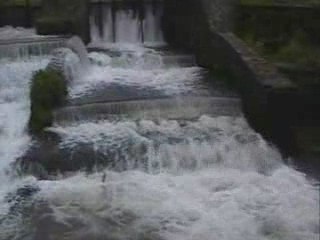 Truites de Mer à Auchy-lès-Hesdin