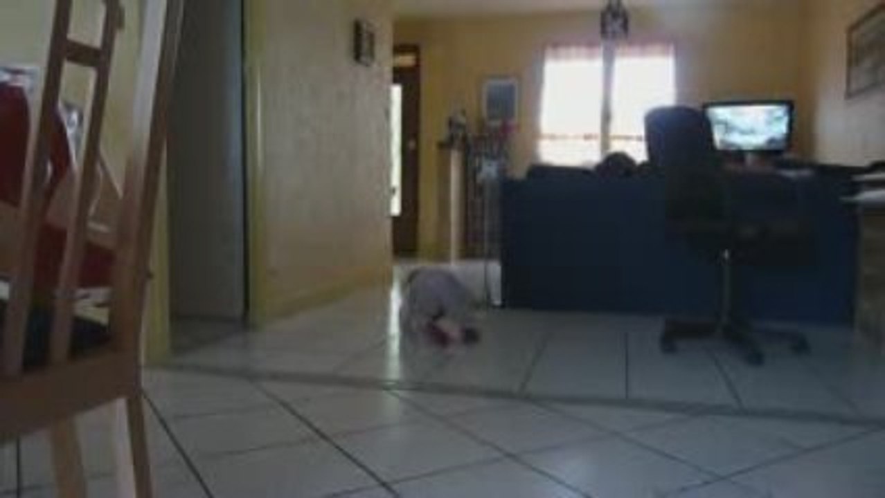 encore et toujours lucie qui marche