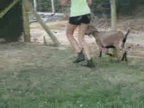 Détente + Saut Lili