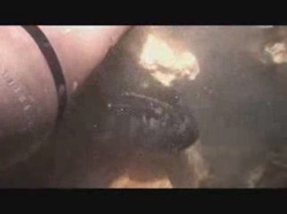 Cave Diving VIDEO | In HD