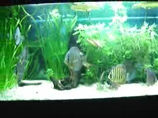 bac ensemble nicolas 76