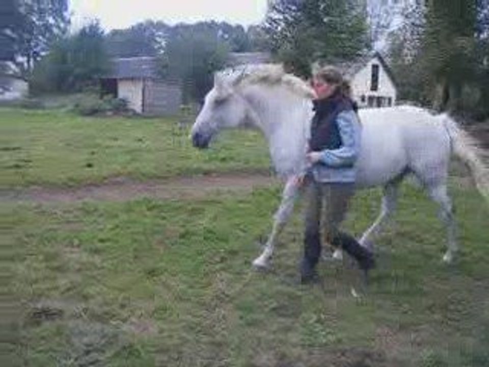 Mario stick to me 16/09/09