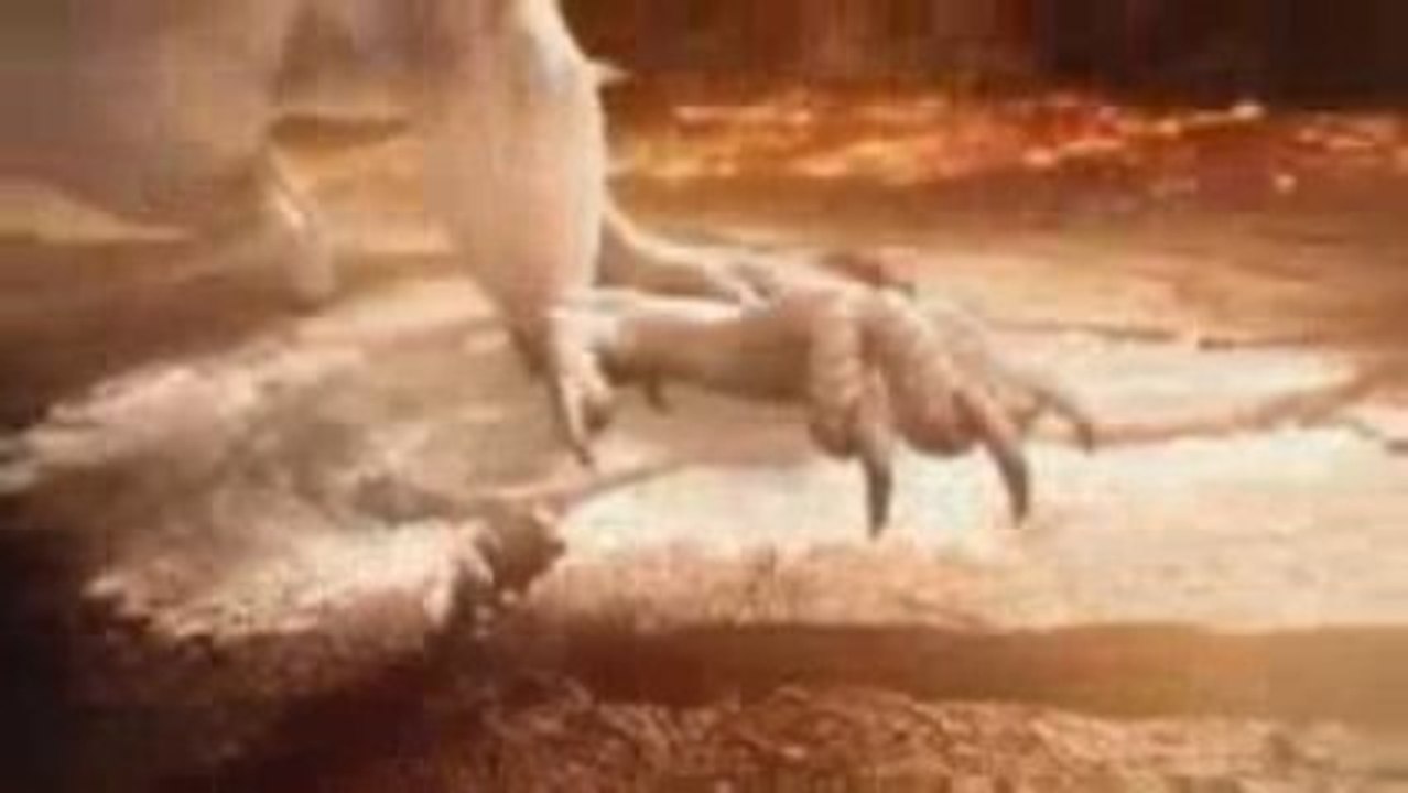 Combat of Giants Dragons Bronze Edition - Trailer