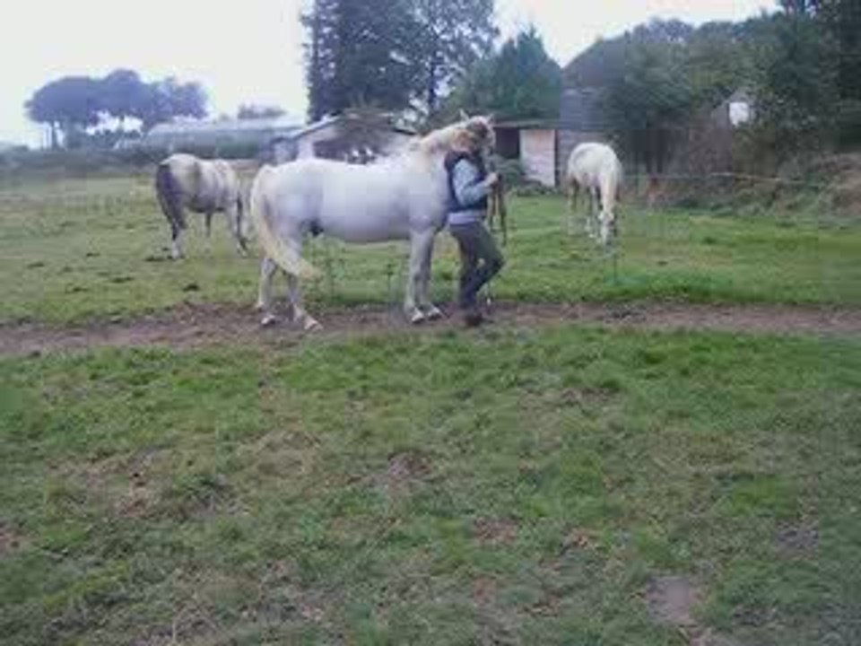 stick to me 16/09/09