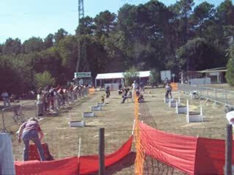 brassage 3 chiens fly ccpm2009 134