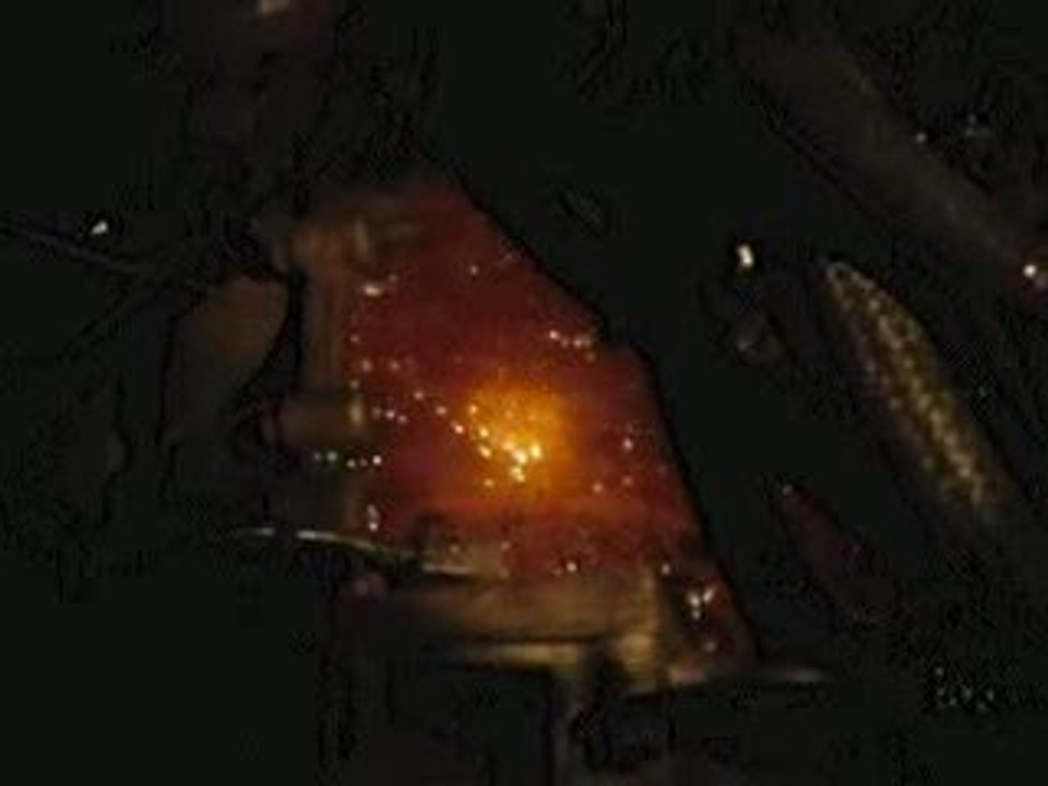 carter feles  bol d'or 2009