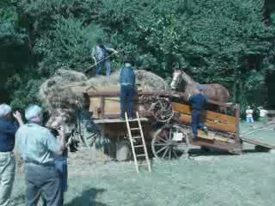 Fete du cheval de trait Féricy 6 sept 2009 - La Trépigneuse