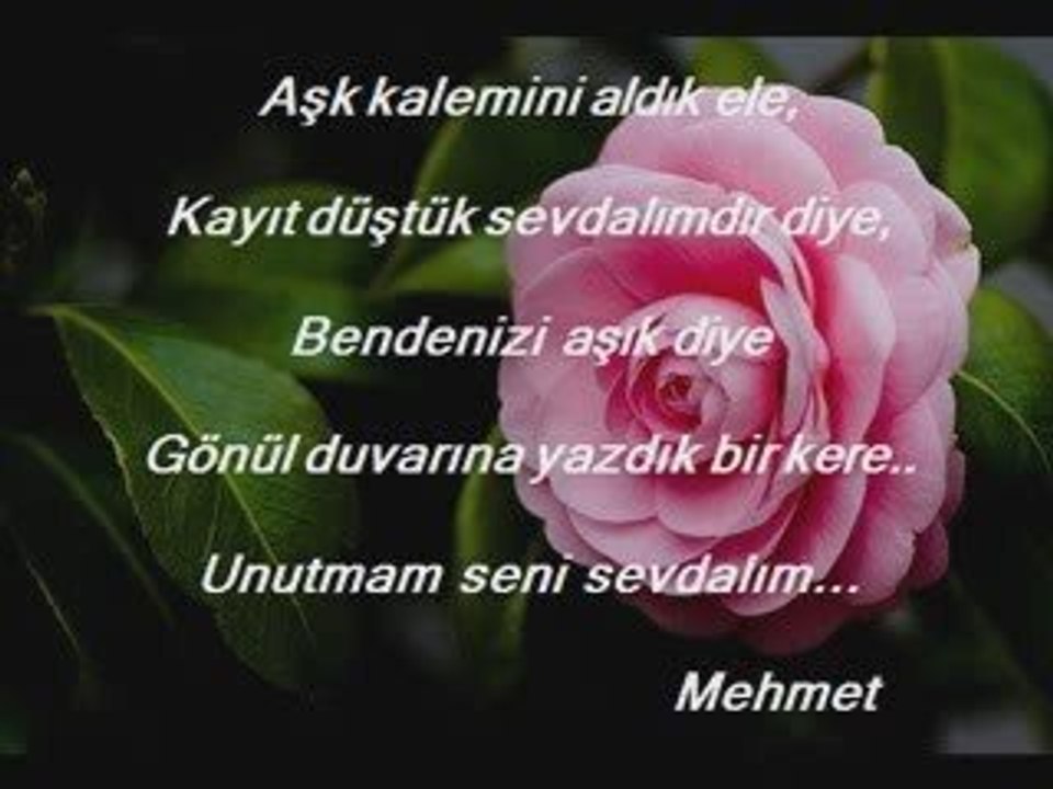 GÖNÜL DUVARI- Gül olsam ya sümbül olsam beni koklarmısın