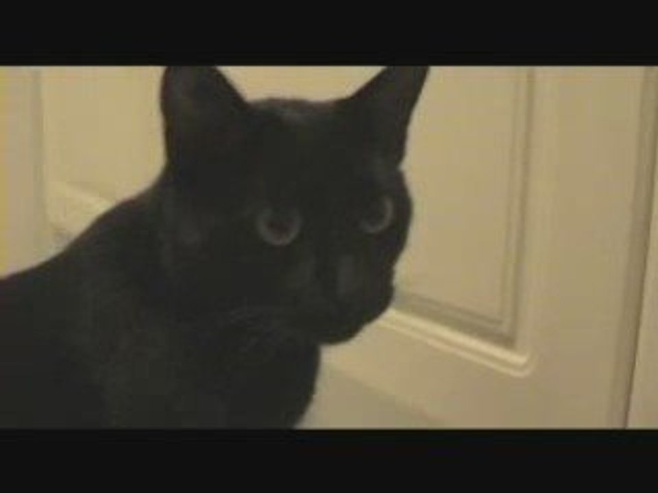 Aramis et le fantôme de l'appartement