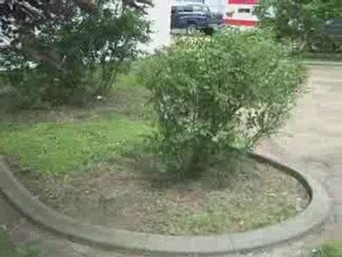 Yard Renovation and Concrete Curbing in Mandan, ND Phase 3