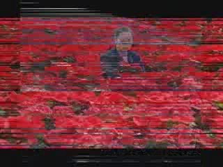 O Mundo Zeca Baleiro