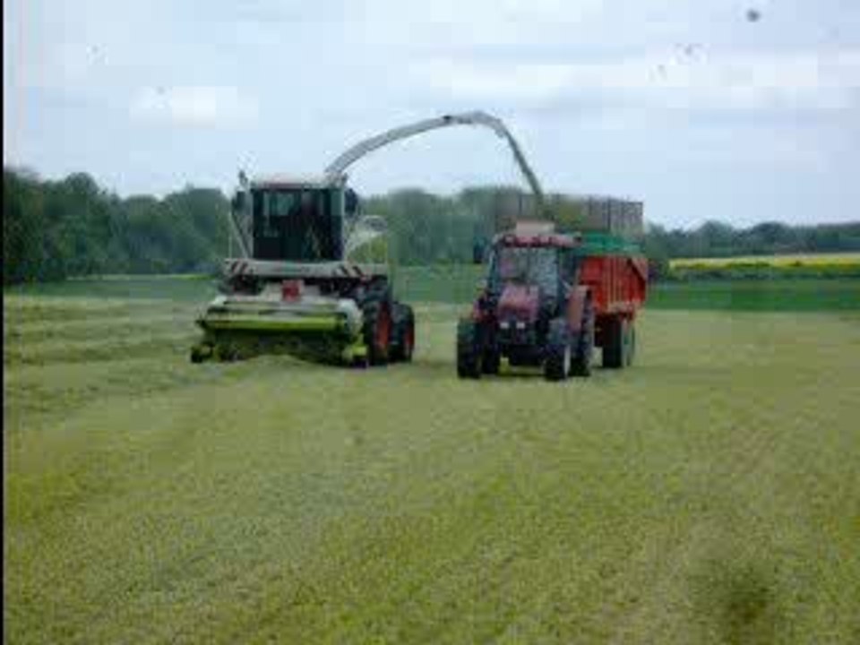 Ensilage d' herbe mai 2009 CS86-benne+promodis 14t-jaguar870