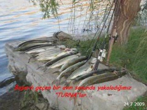 22/24.Tem.2009 BALIK AVIMIZ