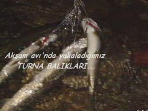 6-8.Haziran.2009 BALIK AVIMIZ