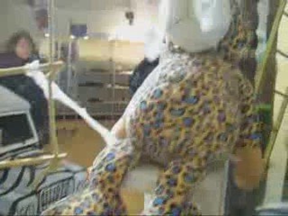 Hollywood Street Set