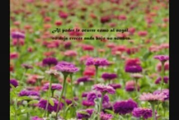 Video 73 EL SECRETO de La Ley de La Atraccion