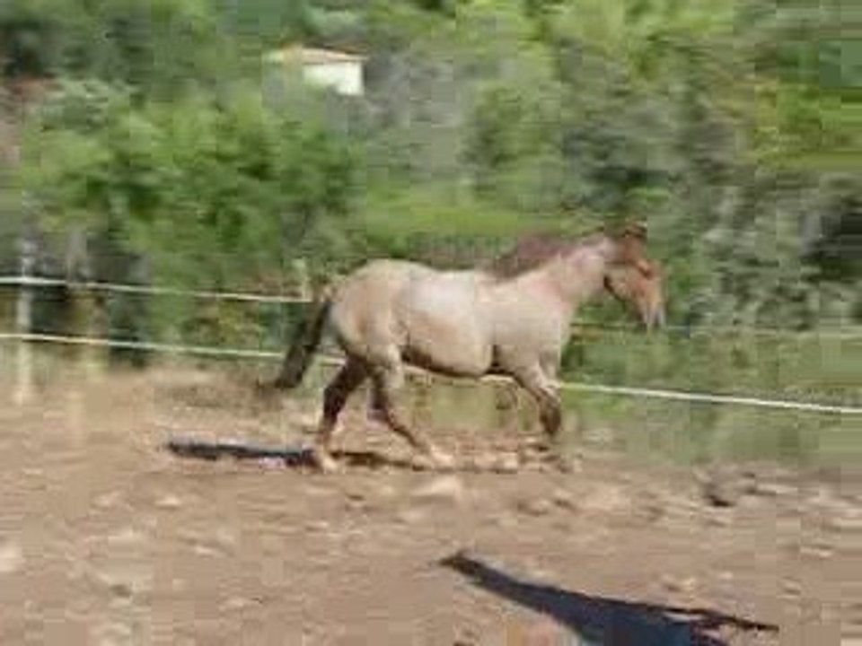 Unuendo