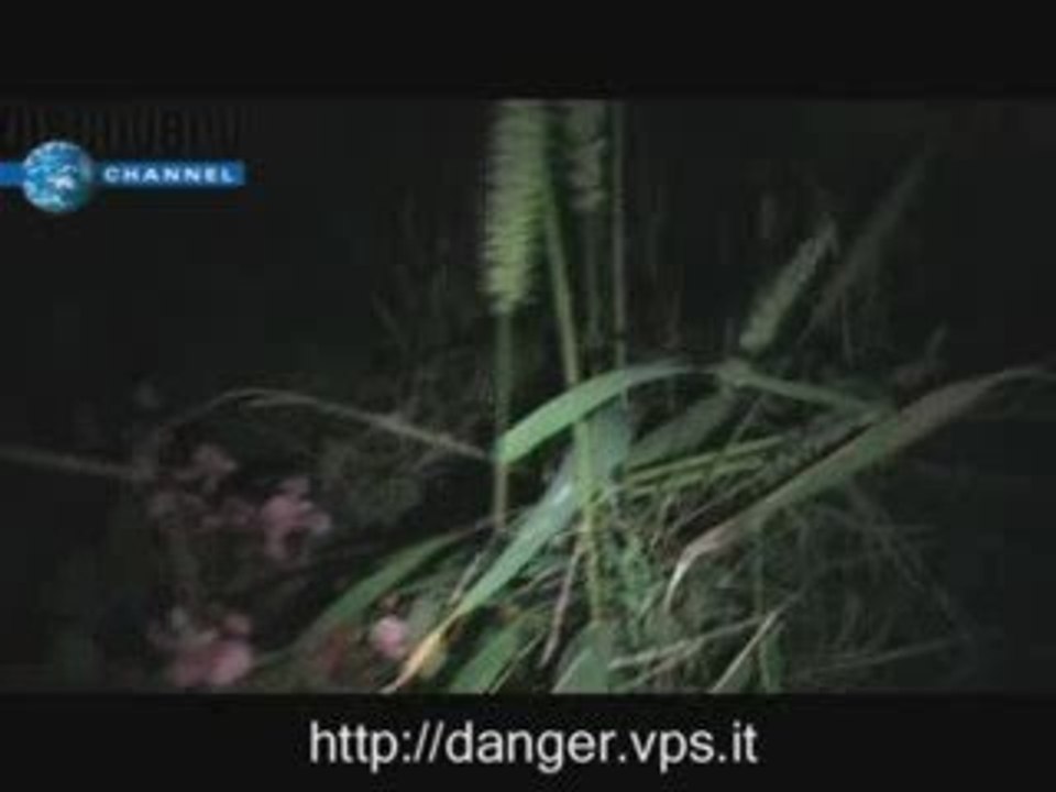 Danger And Beyond - Terremoto