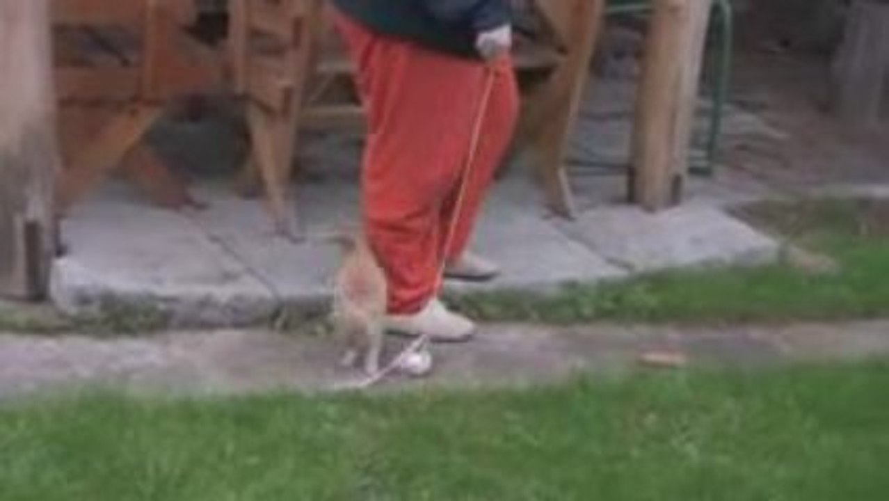 Hra_Ryso_Martinka.mp4