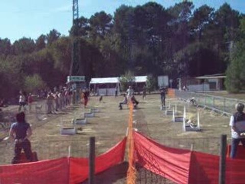 brassage 2 chien fly concours ccpm2009 142