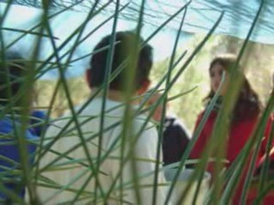 Exploradores - Acampamento de Carnaval