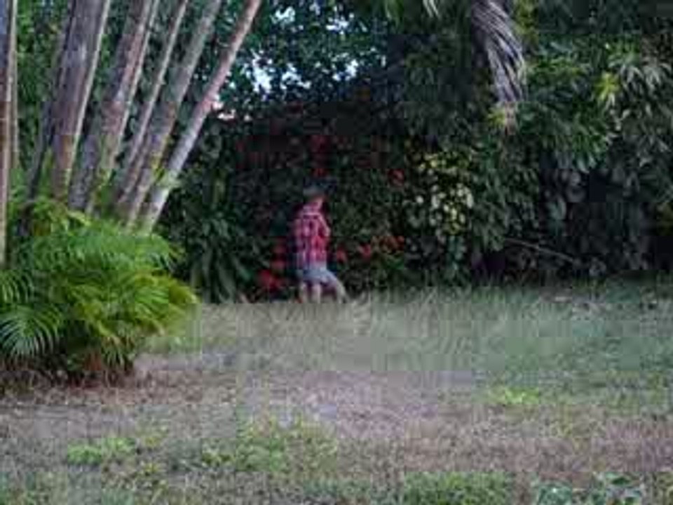 alex dans le jardin
