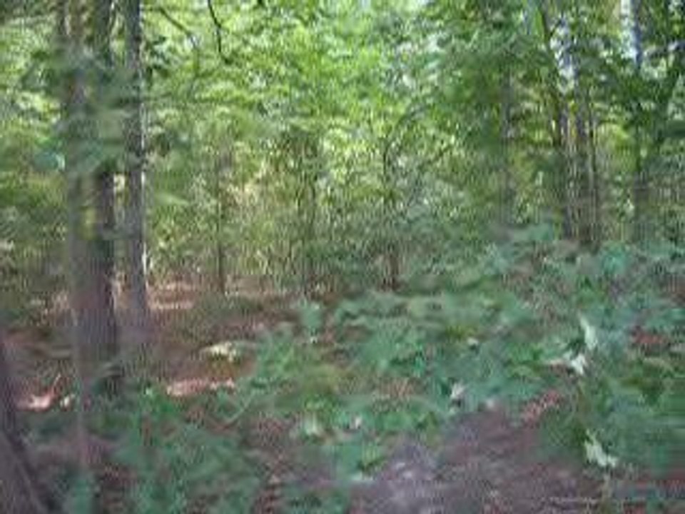 Buy Land Louisa, Land For Sale In Louisa