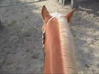 un long montage d'étho avec Replay