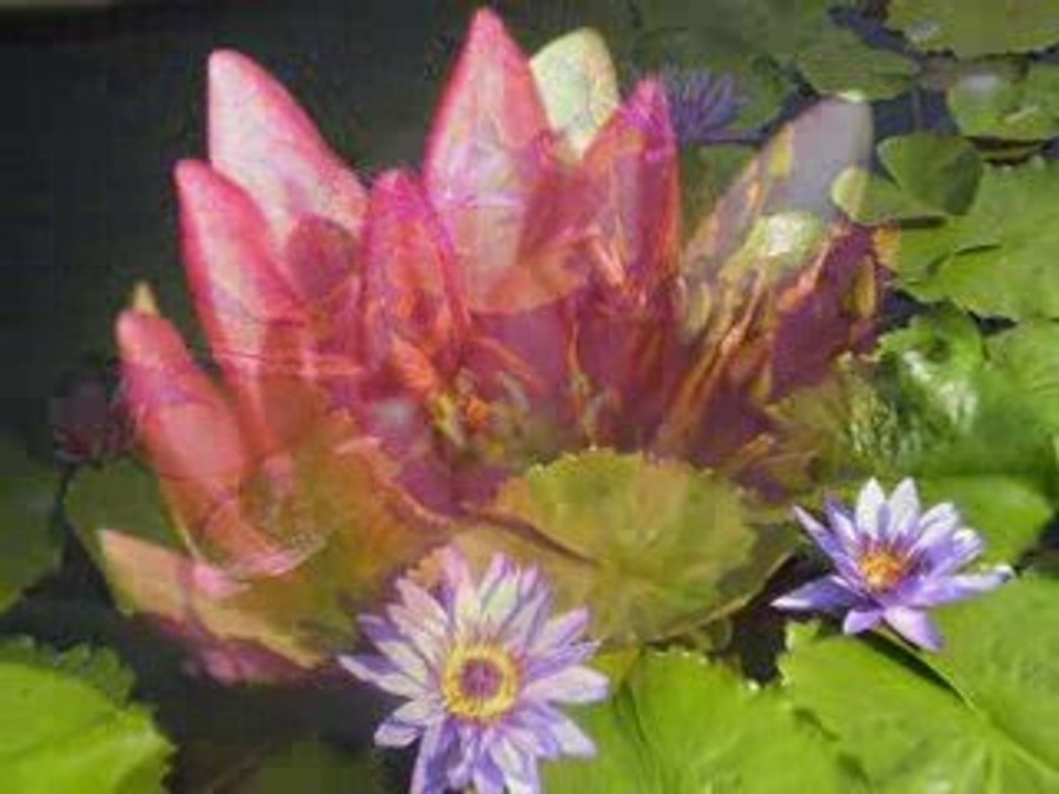 Les Lacs Italiens, les Iles Borromées et le Lac de Garde