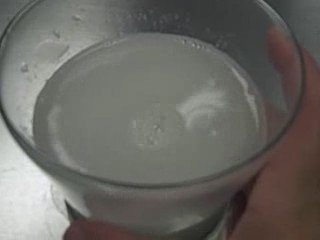 Bio-Fresh Whey Protein Isolate