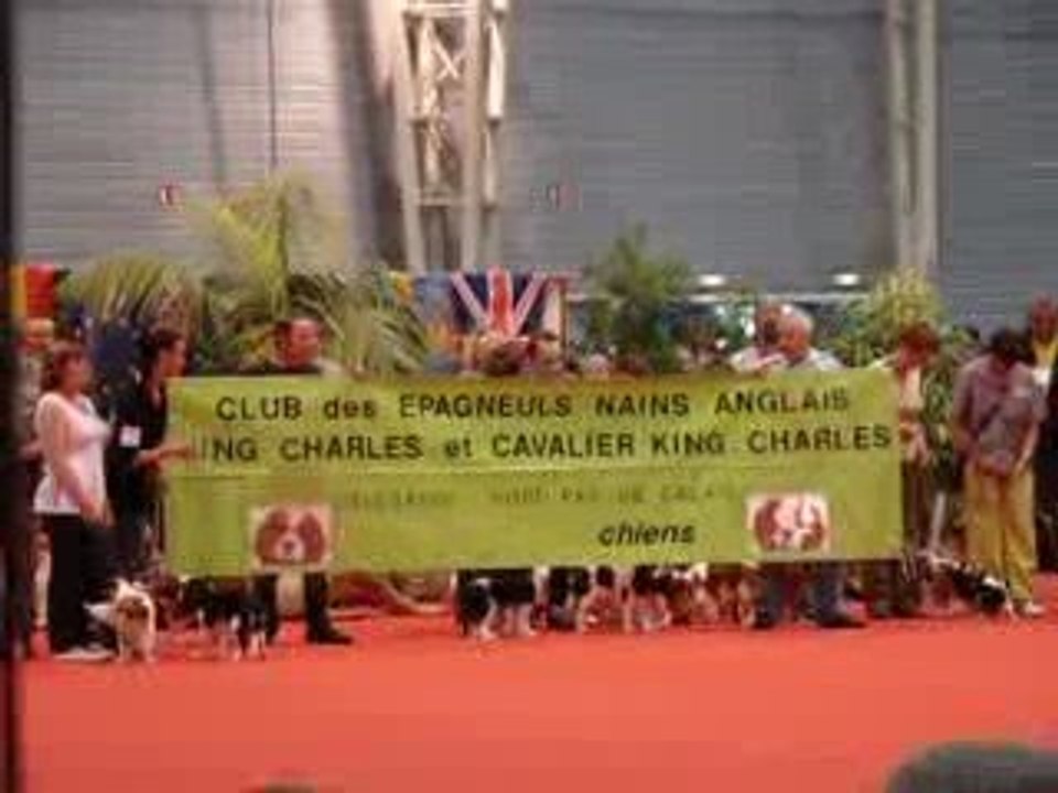 MOV09014