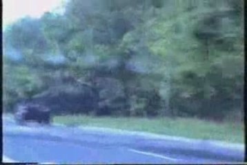 Queen Ana arrived in Romanie - 26.06.1995,cd2