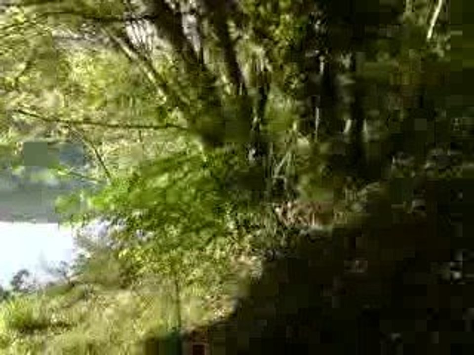 KETWORK NATURE