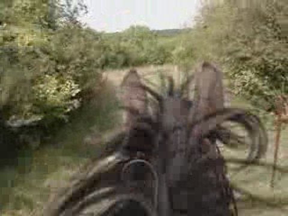 trotting
