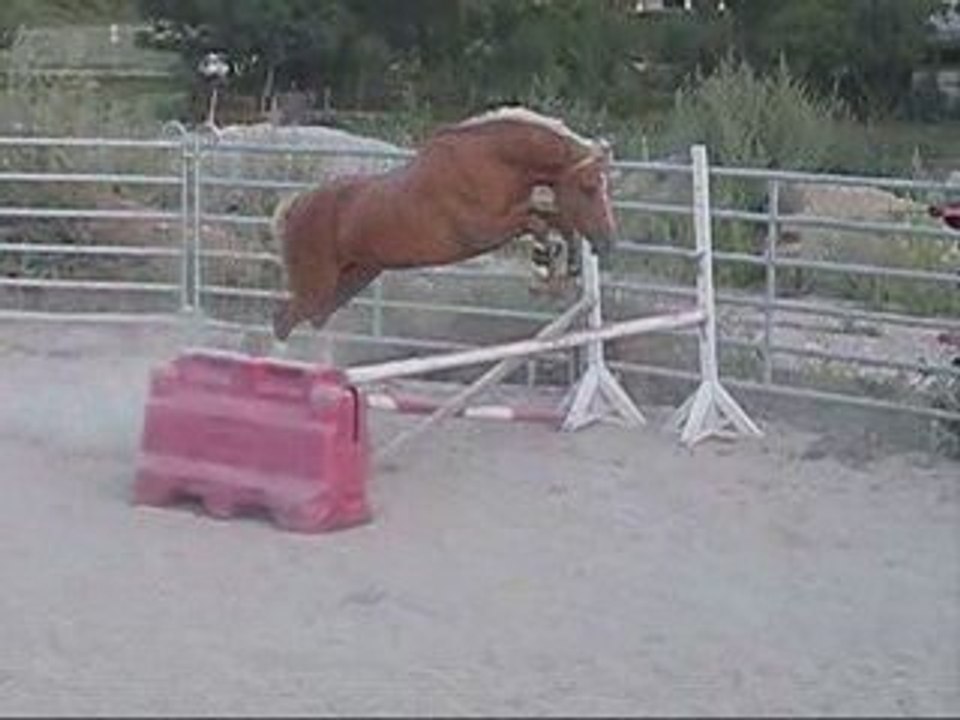 ignes aout 2009 divers