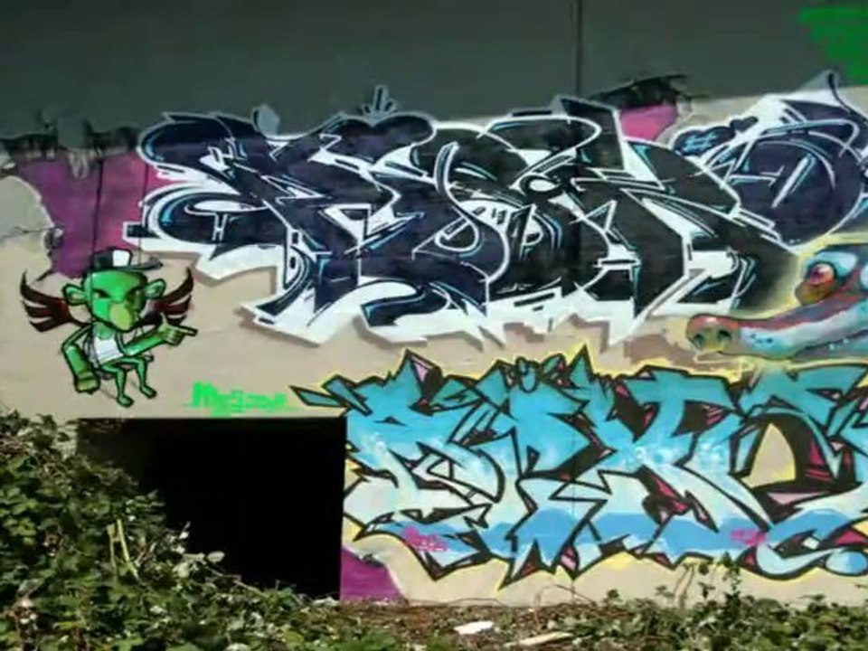 ODVtour2009