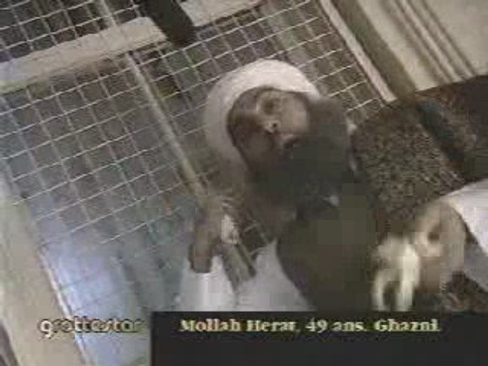 GROTTESTAR - Parodie de POPSTAR / NOUVELLE STAR / STAR AC