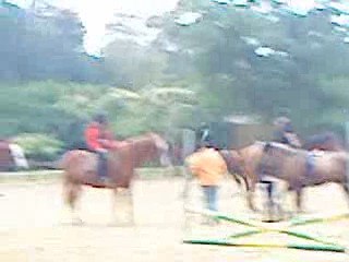 moi au galop avec priska