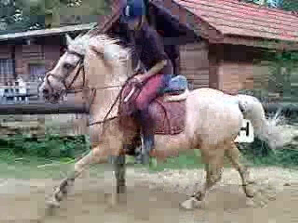 manon et pisto au galop