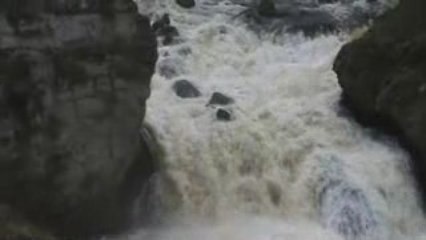 Voyage Yellowstone Jour j+3 (4)