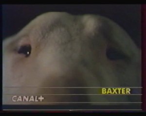 Canal+ 30 décembre 1989