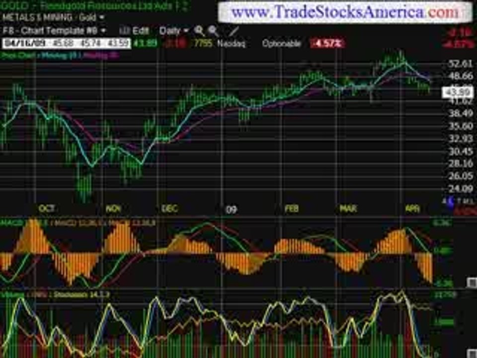 video newsletter stock trading