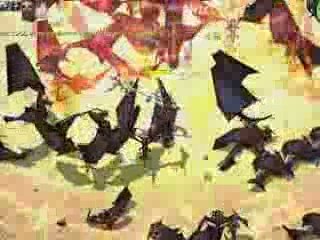 FreeMMO Eudemon Online Mage Skill Video