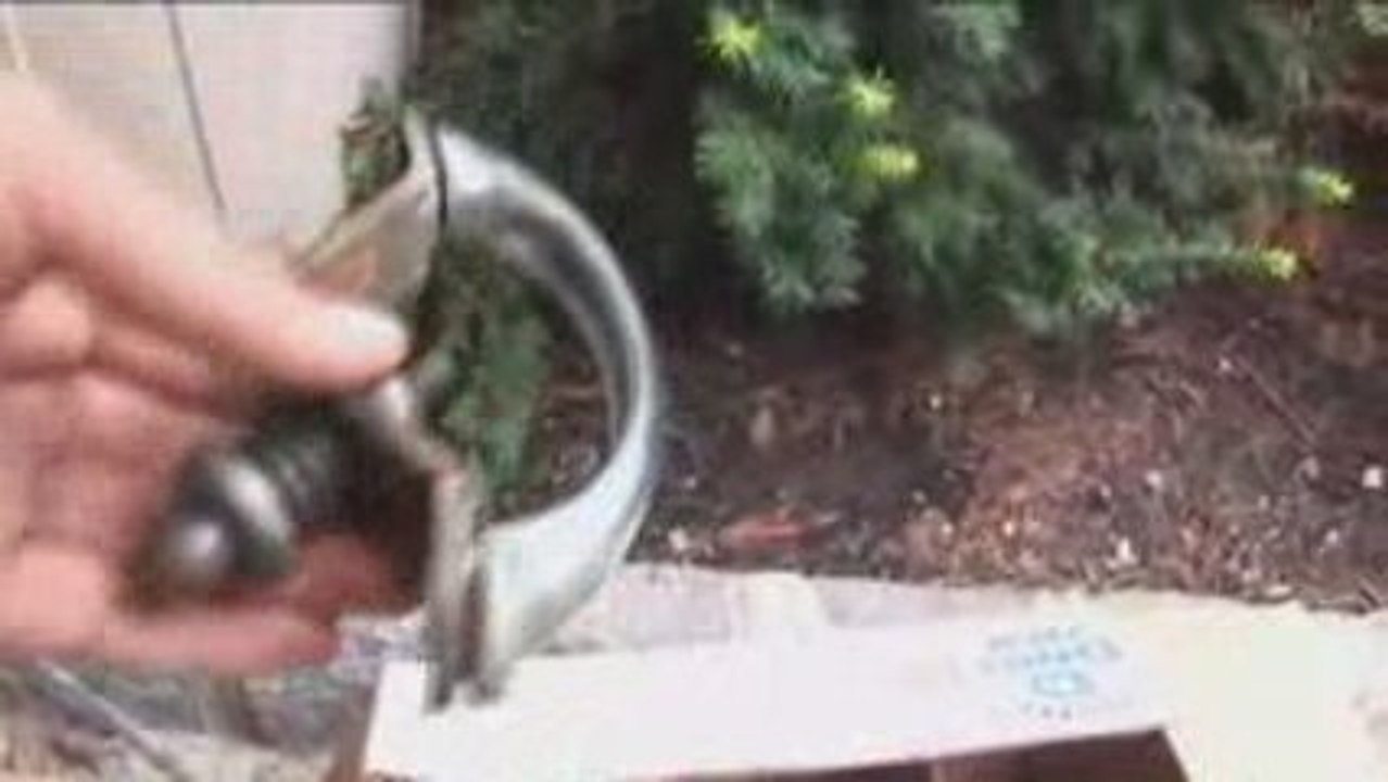 The Classic VW Beetle Bug How to Organize parts Tip