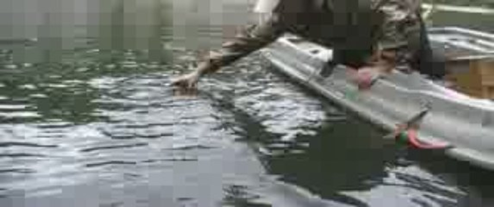 bec 81cm loic