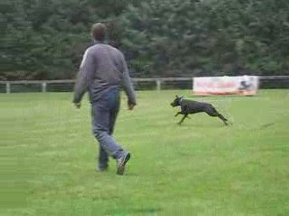 2 Caches