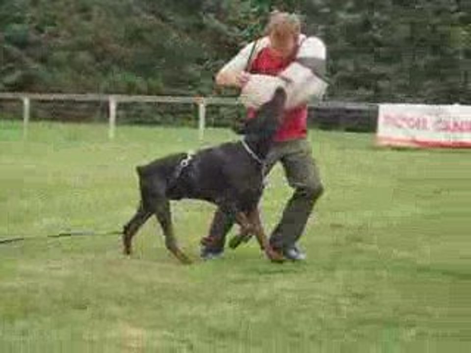 training 1