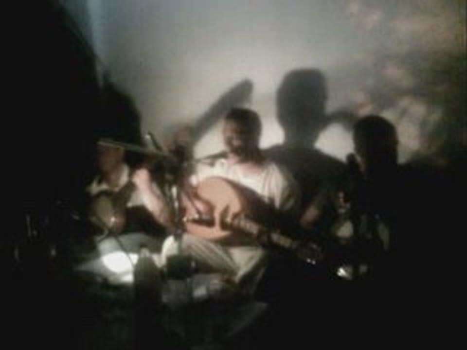 D.S VISION