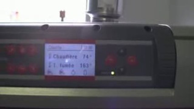 chaudiere bois froling s4