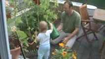 William Stanislaw watering tomatoes/ podlewa pomidorki